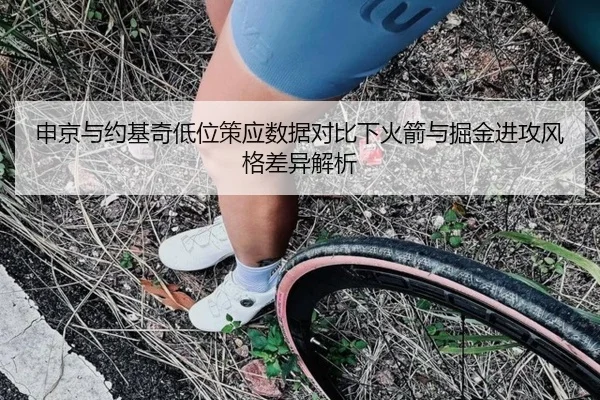 申京与约基奇低位策应数据对比下火箭与掘金进攻风格差异解析